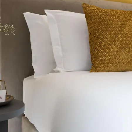 St Peter Twelve Roma